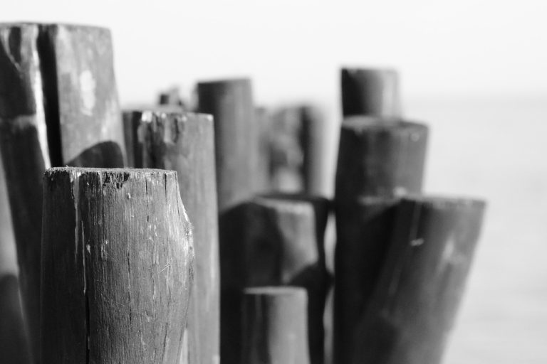 Cara Mengecek Status Pembuatan Paspor Baru di Tanggamus